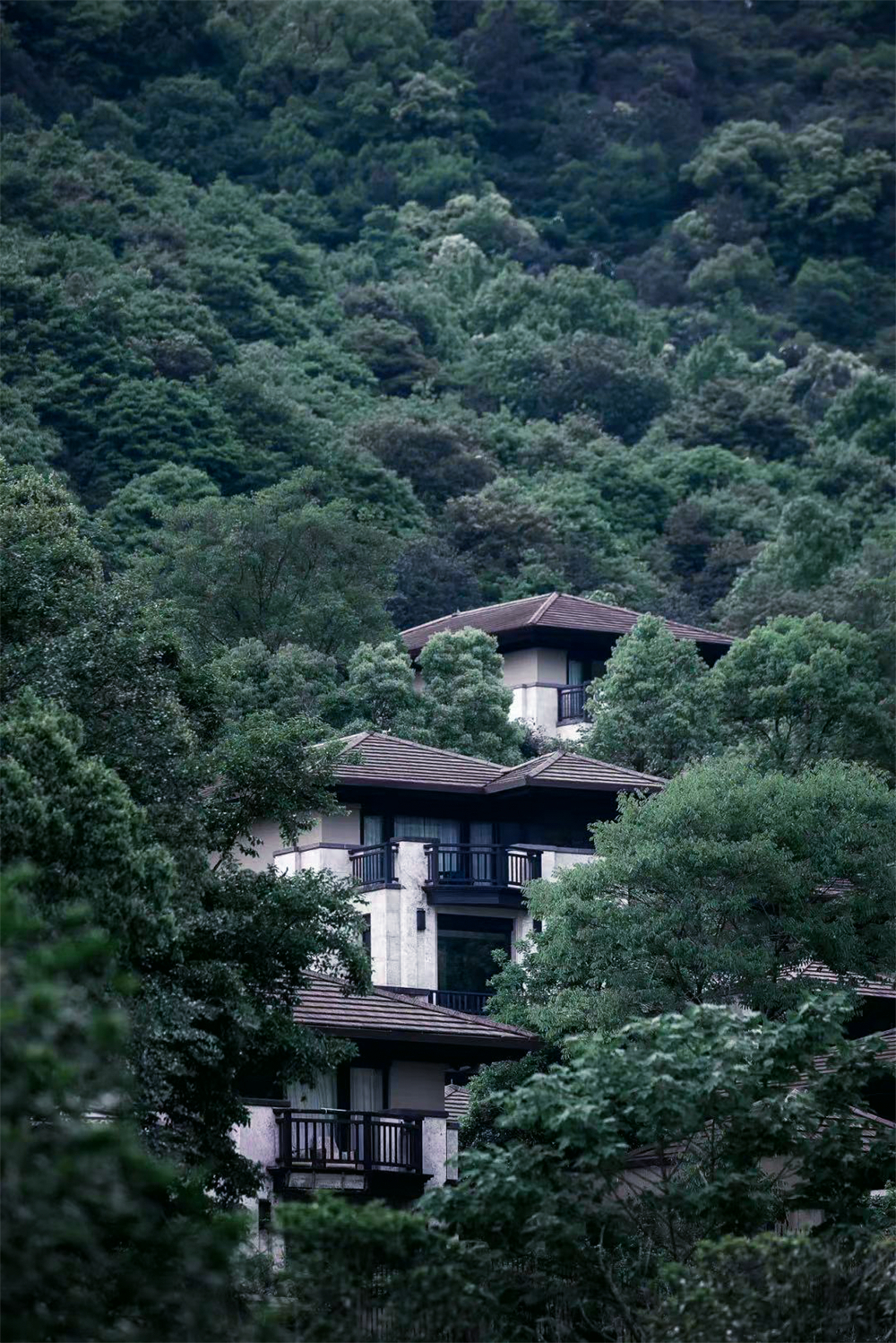 409㎡整木定制別墅,簡約新中式風格(圖2) 3.jpg